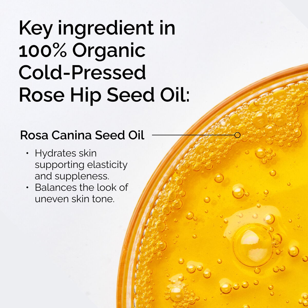 100-organic-cold-pressed-rose-hip-seed-oil-a0 FY25-D41247-ORD-Web-PDP-100-Rose-Hip-Oil-1x1-EN-2.jpg