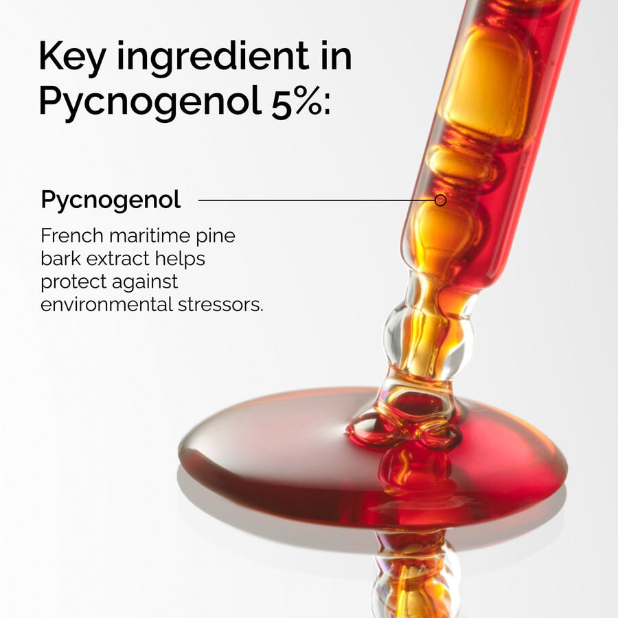 pycnogenol-5-e2 FY25-D41247-ORD-Web-PDP-Pyc-5pct-1x1-EN-2a.jpg