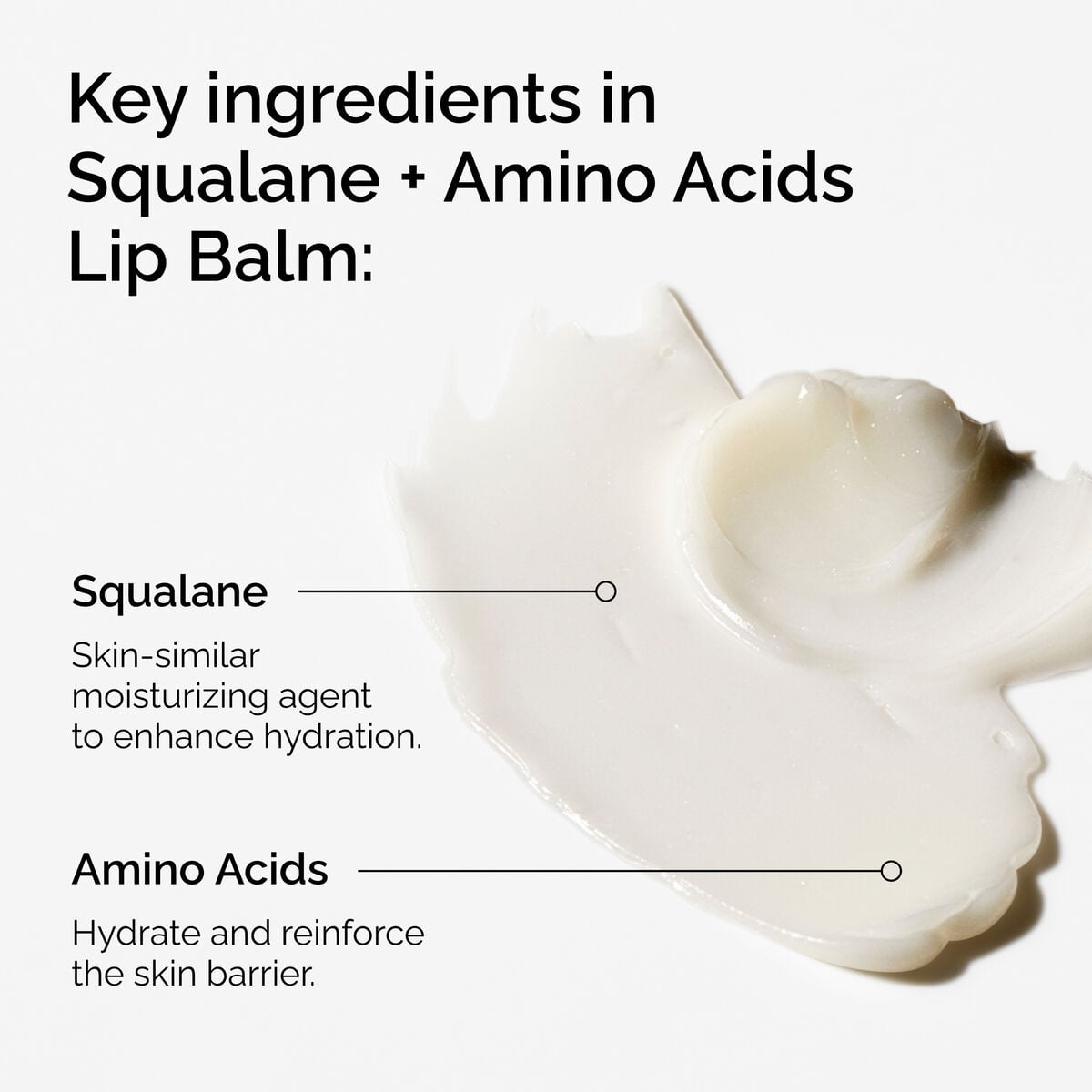 squalane-amino-acids-lip-balm-u4 FY25-D41247-ORD-Web-PDP-Sql-Amino-Lip-1x1-EN-2a.jpg