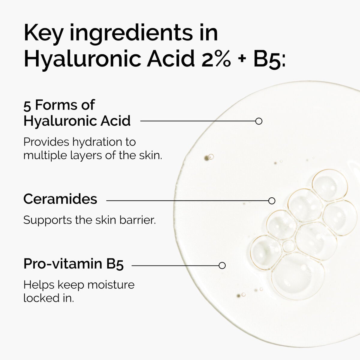 hyaluronic-acid-2-b5-with-ceramides-b8 ord-hyaluronic-acid-2pct-b5-hydrating-serum-ingredients-graphic.jpg
