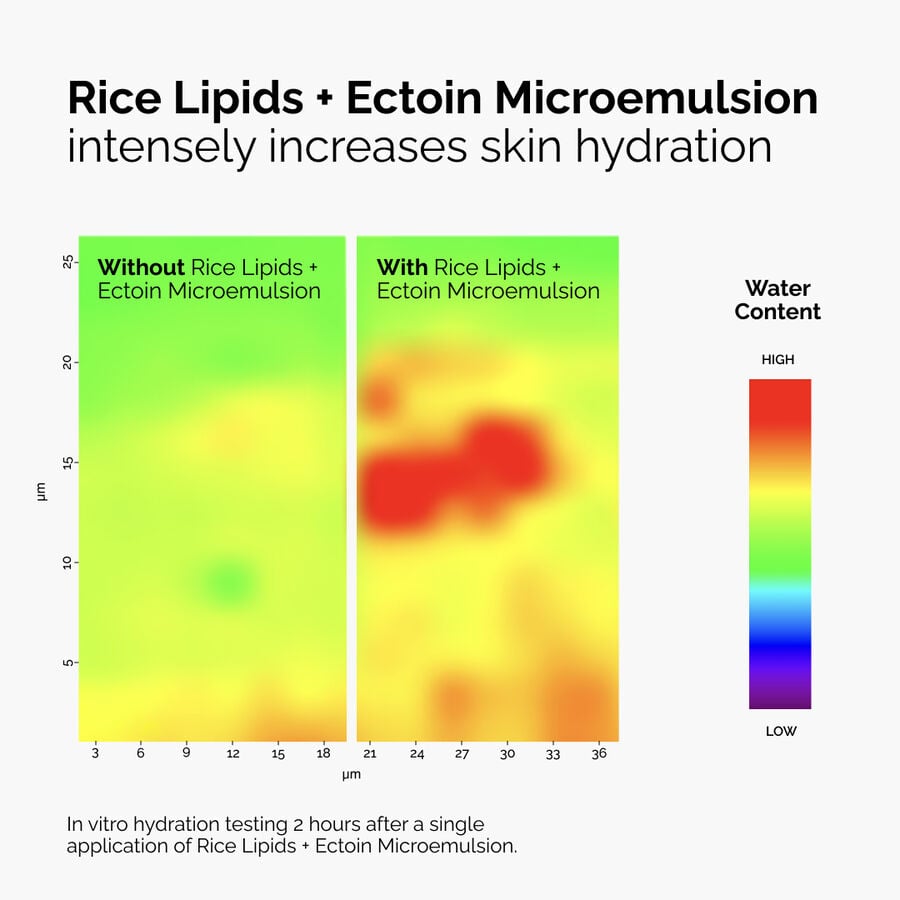 rice-lipids-ectoin-microemulsion-w8 ord-rice-lipids-ectoin-microemulsion-thermal-before-after.jpg
